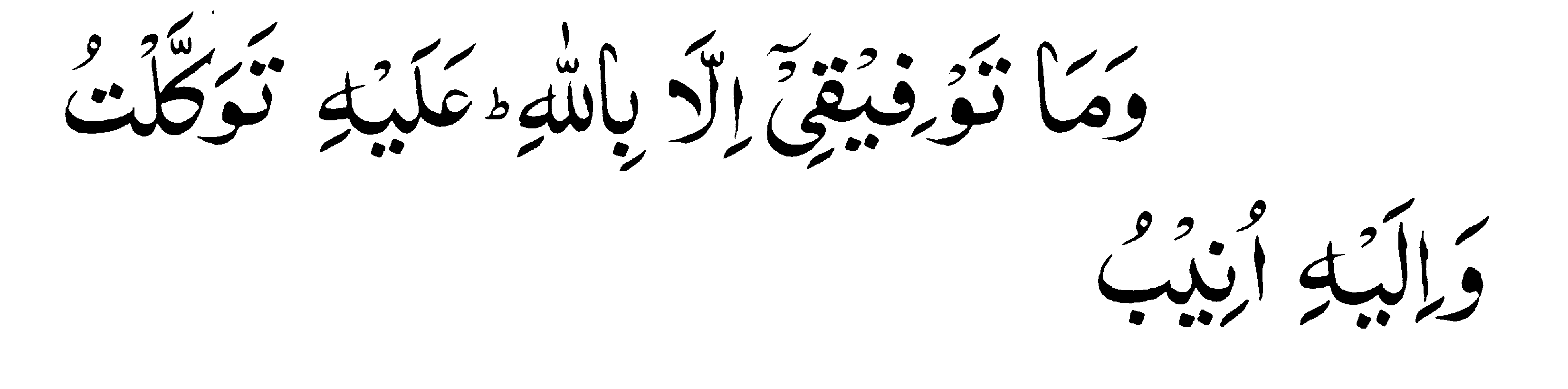 Holy Quran: Surah Hud Ayat 88